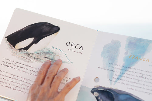 libro album sonoro infantil opera del mar sonidos de ballenas y cetáceos editorial manivela cantos de ballenas