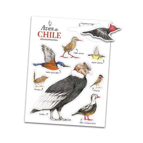 Stickers de fauna chilena impresos en papel aves felinos dichos animales