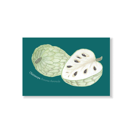 postal fruta nativa chilena chirimoya papaya maqui frutilla piñón ilustración botánica frutos fruta decoración