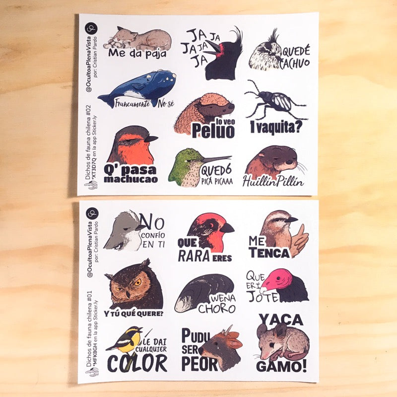 Stickers de fauna chilena impresos en papel aves felinos dichos animales