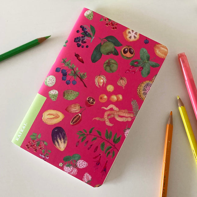 libreta cuaderno croquis frutas chilenas nativas chile frutos lucuma chirimoya papaya frutilla pepino tuna calafate maqui