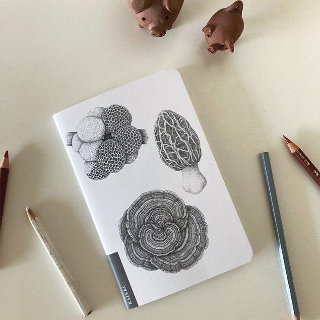 libreta cuaderno croquis hongo funga fungi nativo endémico naturaleza flora fauna escritorio papelería