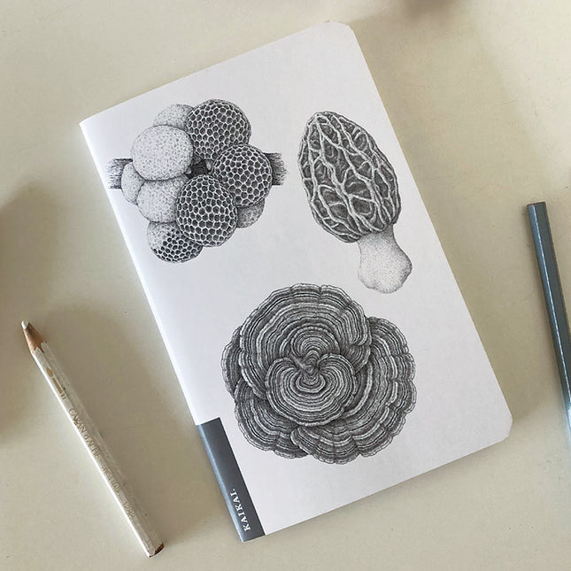 libreta cuaderno croquis hongo funga fungi nativo endémico naturaleza flora fauna escritorio papelería